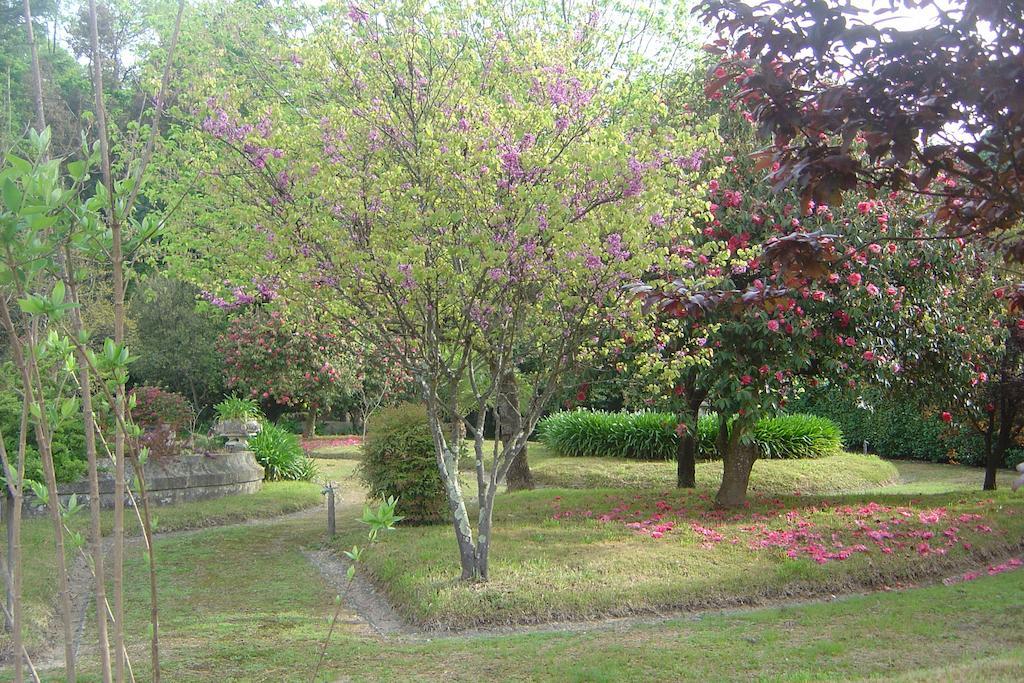 Casa Da Espinhosa Bed and Breakfast Γκιμαράες Εξωτερικό φωτογραφία