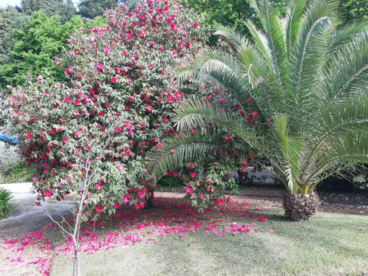 Casa Da Espinhosa Bed and Breakfast Γκιμαράες Εξωτερικό φωτογραφία